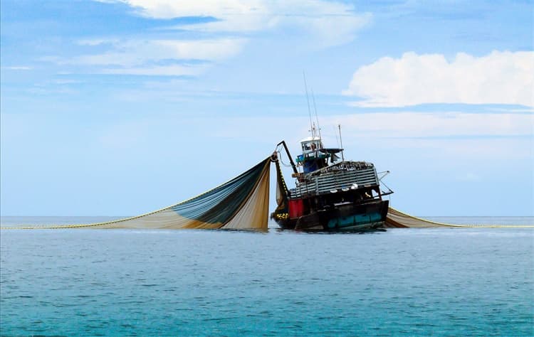 Barco de jabeguero